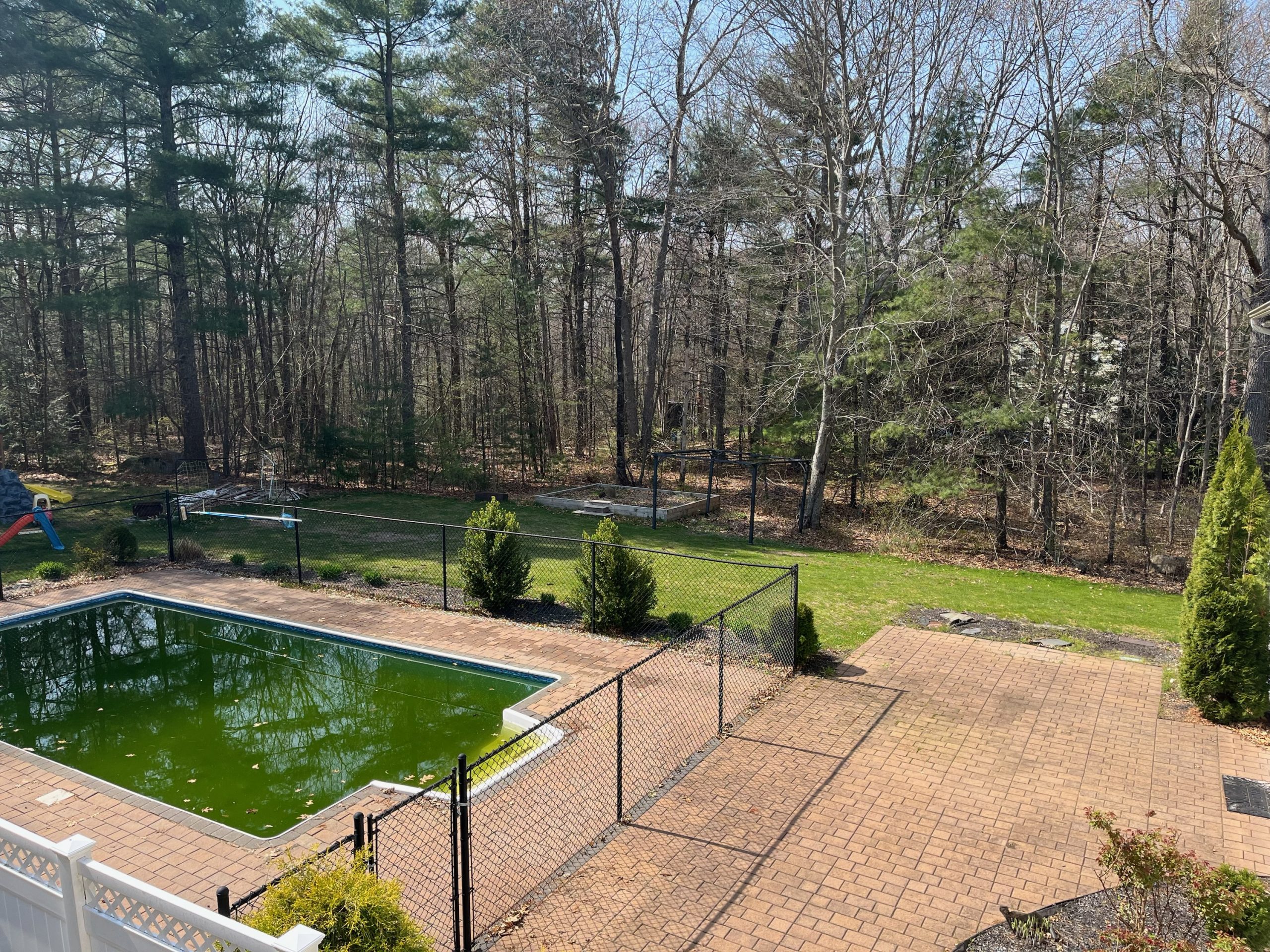 Pool in garden