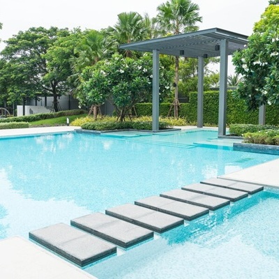 beautiful luxury swimming pool with palm tree_1339 4854 1